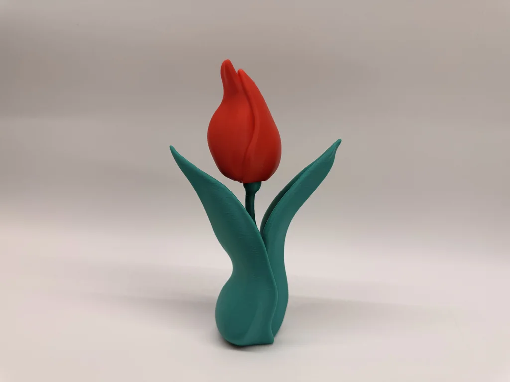 Tulipán