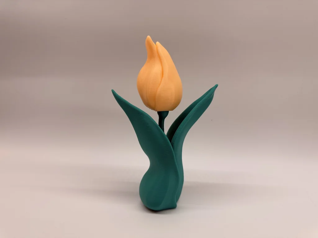 Tulipán - Image 2